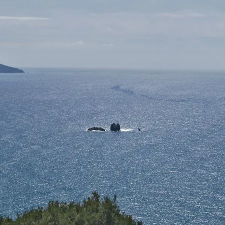 Galini Seaview Kontogialos Апарт-отель 3*