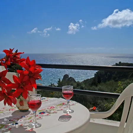 Galini Seaview Kontogialos Апарт-отель